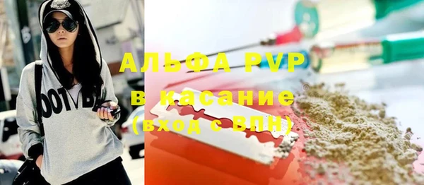PSILOCYBIN Беломорск