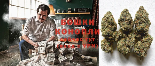 PSILOCYBIN Беломорск