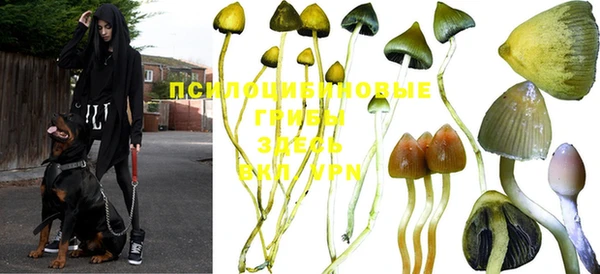 бошки Балахна