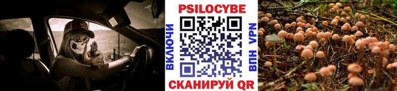 Галлюциногенные грибы GOLDEN TEACHER  Купить  Кимовск 