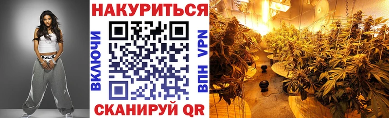 Конопля Bruce Banner  Купить где  Кимовск 