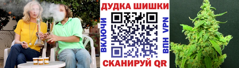 Бошки Шишки семена Кимовск